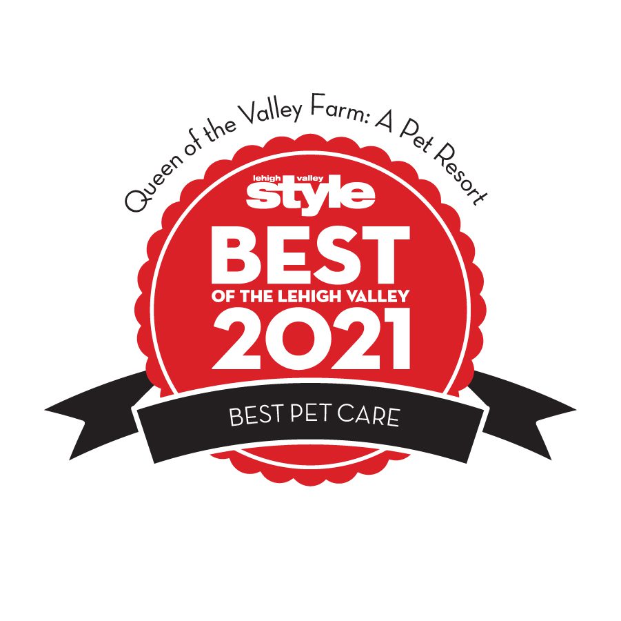 Best of the Lehigh Valley 2021 Best Pet Care award